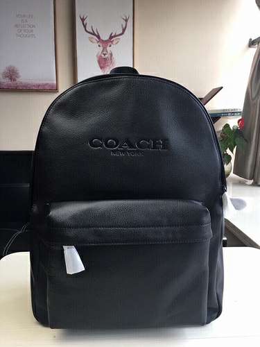 Picture of Coach Mens Bags _SKUfw130296821fw